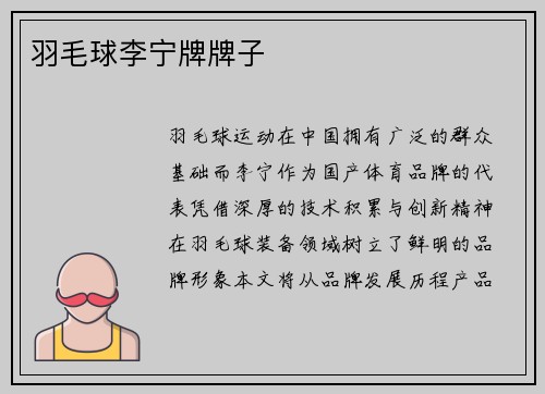羽毛球李宁牌牌子